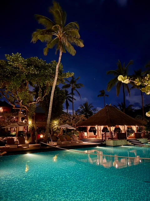 A swimming pool and palm trees illuminated at night