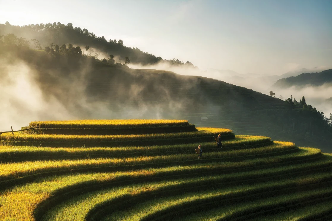 Sunlit rice terraces and misty hills in Vietnam, from the Caoroads programme supplied by Patrik